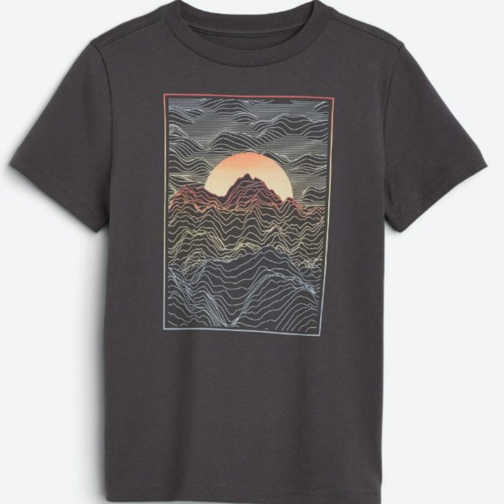 NWOT The Commons Dark Gray Short Sleeve Tee with Artistic Sunset Graphic